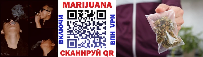 APVP Грязовец