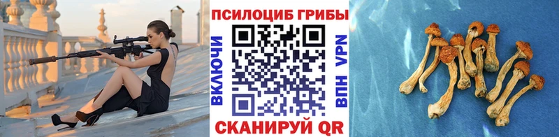 Галлюциногенные грибы мухоморы  Купить  Грязовец 